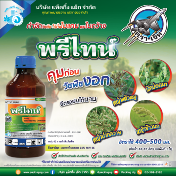 พรีไทน์